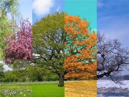 4 saisons